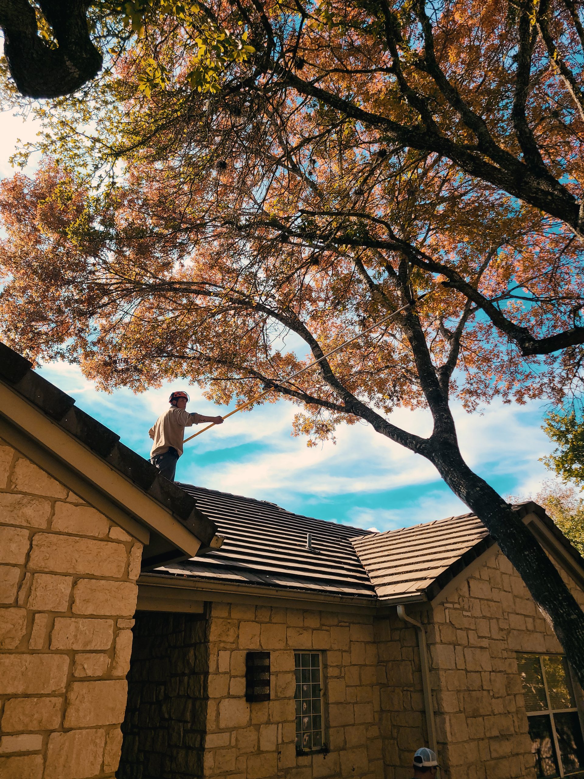 Tree pruning work near a roofline